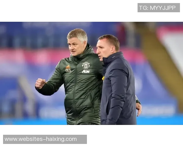 墨尔本骑士与休姆历史交锋记录分析及战绩回顾