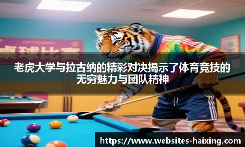海星体育