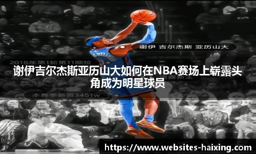 海星体育