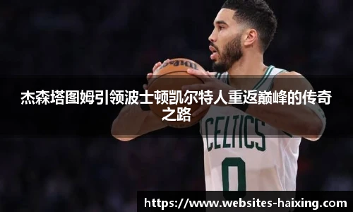 海星体育直播
